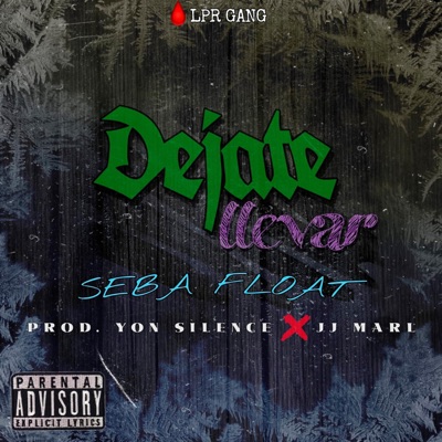 Déjate Llevar (feat. Seba Float) - Single