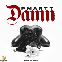 Damn (Remix) - Single - Pmartt