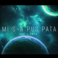 Mi s-a pus pata (feat. Grm) - Single - smxg