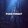 Pure Forest - EP