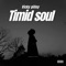 Timid Soul - Vicky pilley lyrics
