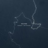 Veins - Single