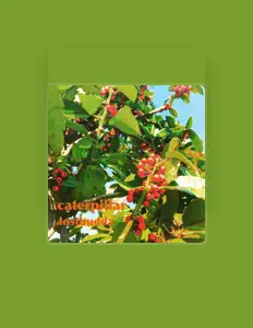 聆聽 lostbudda、觀看音樂影片、閱讀小傳、查看巡演日期等！