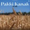 P***i Kanak artwork