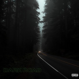 Dark Road Yunglynx