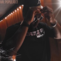 Mr. Popular 3 - Single - 96THELA