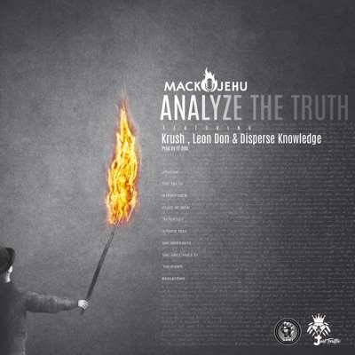 Analyse the Truth - Single