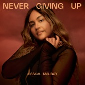 Never Giving Up artwork