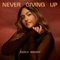 Never Giving Up artwork