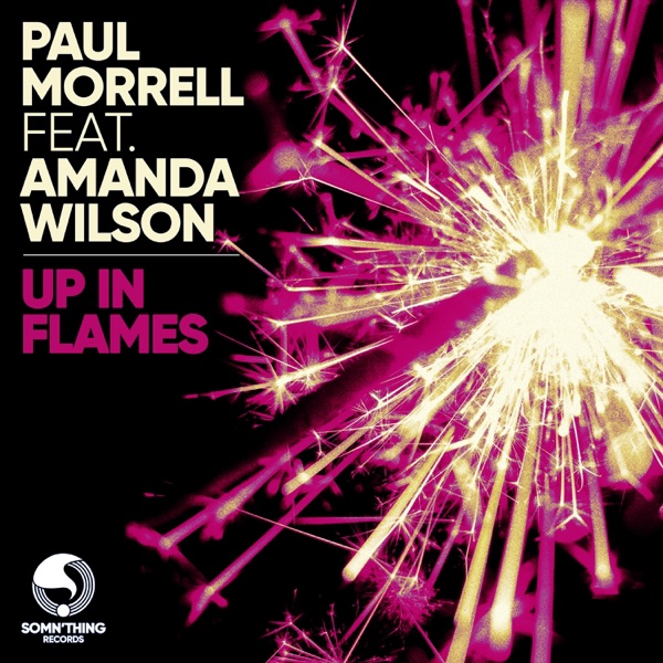 Up in Flames (Game Chasers Remix) [feat. Amanda Wilson] - Single