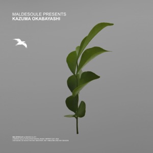Maldesoule Presents 001: Kazuma Okabayahsi (DJ Mix)