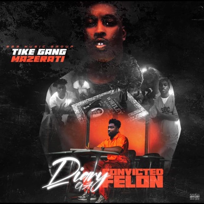 Diary Of A Convicted Felon