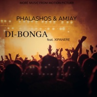 DI-BONGA (feat. Xipanere & Amjay) - Single - Phalashos