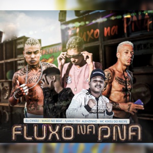 Fluxo na Pna