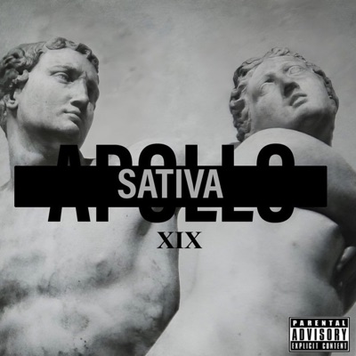sativa - Single