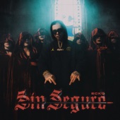 Sin Seguro artwork