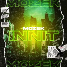 INNIT Mozek