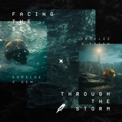 Facing the Sea / Through the Storm - Single