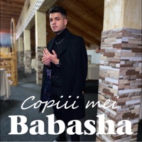 Copiii mei - Single - Babasha