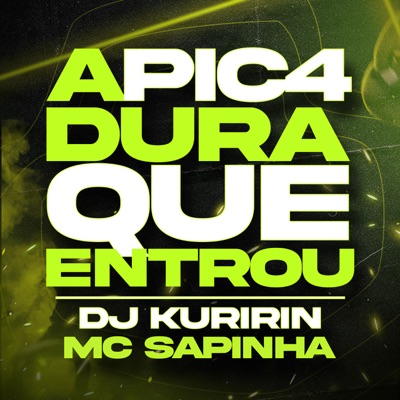 A Pic4Dura Que Entrou - Single
