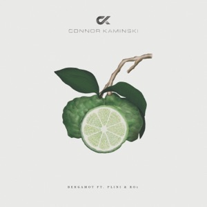 Bergamot (feat. Plini & RO1) - Single