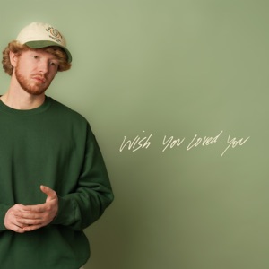 Wish You Loved You - Single
