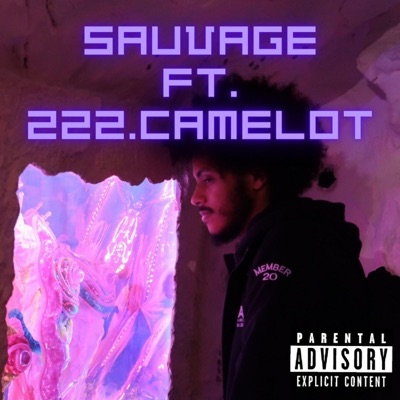 Sauvage (feat. 222.Camelot) - Single