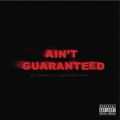 Ain't Guaranteed (feat. D. Wil) - Single