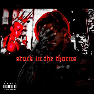 Stuck In the Thorns