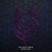 Guidelines (Amyss, Willy Van Florence Remix) artwork