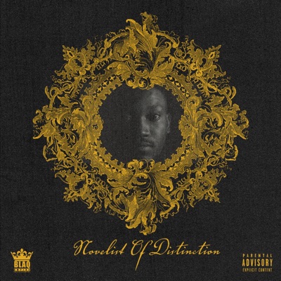 Novelist of Distinction