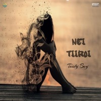 Nei Tiiroi - Single - Teidy Boy