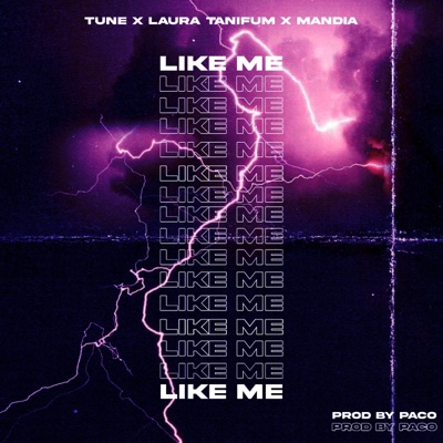 Like Me (feat. Tune, Mandia & Laura Tanifum) - Single