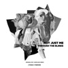 Not Just Me - Through the Blinds (Audiojack Remix)