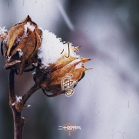 Minor Snow -Xiaoxue- - Single - Catty.L