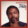 Marvin Gaye - Where Are We Going? artwork