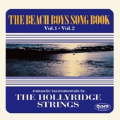 Hollyridge Strings - Don't Worry Baby