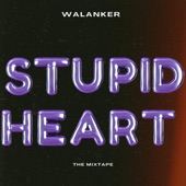 Stupid Heart artwork