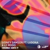 Wanna Have It (feat. Le Modo & Ludona) artwork