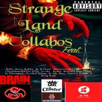 Stay High (feat. JL) - Single - G-88