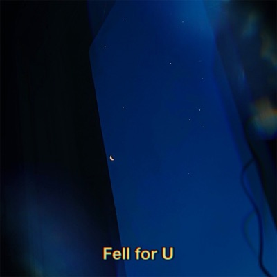 Fell for U - Single