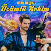 Üzümlü Kekim artwork