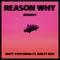 Reason Why (feat. Bailey May) - Matt Steffanina lyrics