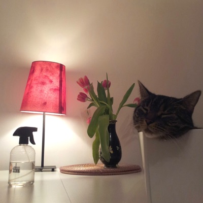 Wyluz (feat. Klawo) - Single