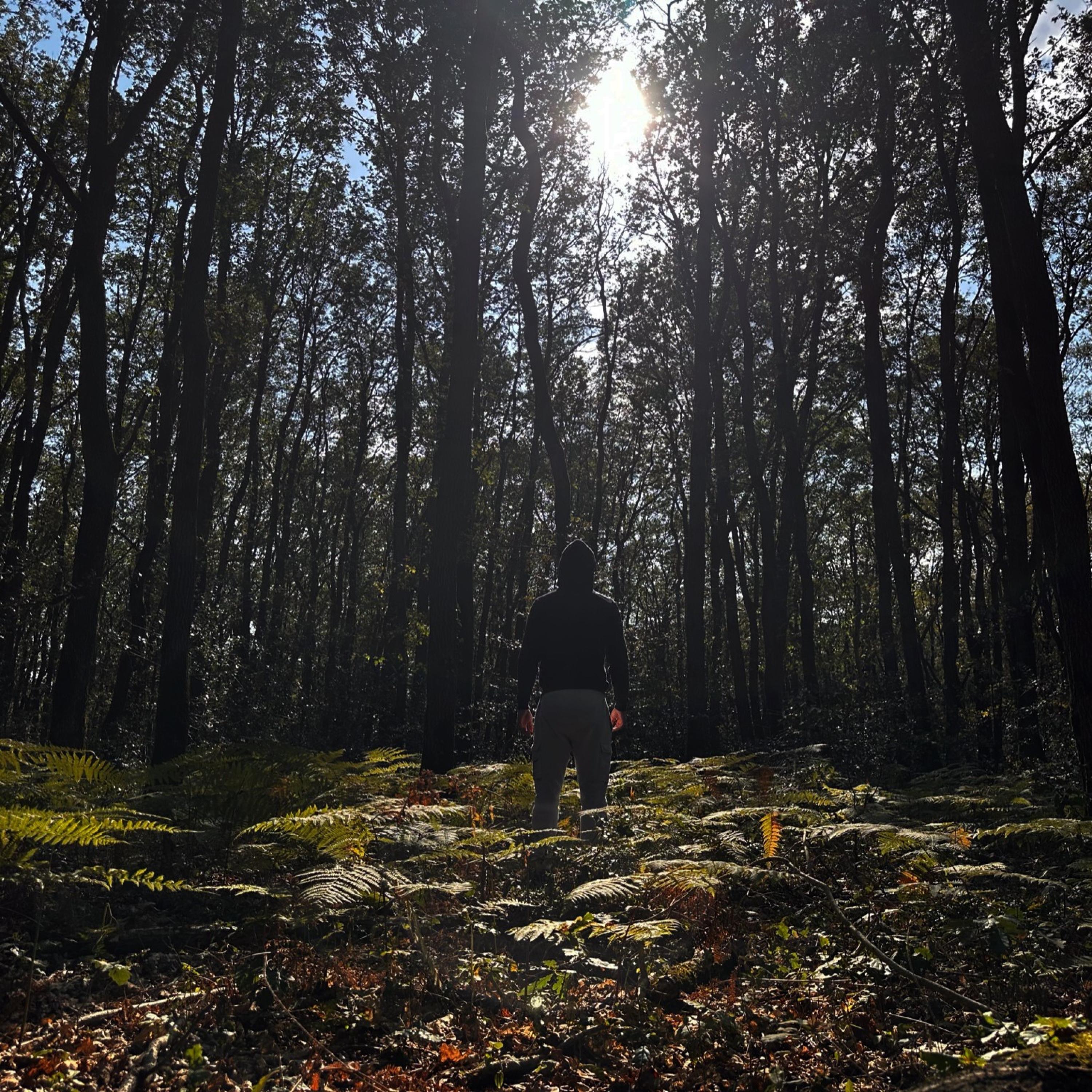 Sélection - Single