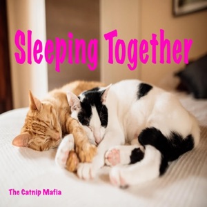 Sleeping Together