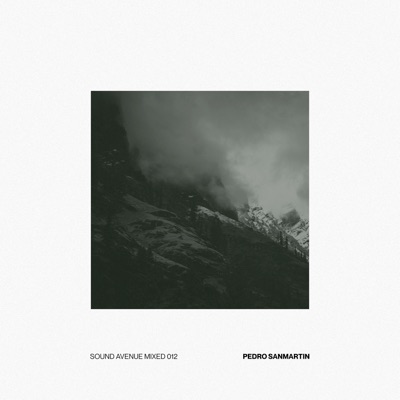 Sound Avenue Mixed 012  Pedro Sanmartin (DJ Mix)