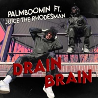 Drain Brain (feat. JuiceTrm) - Single - Palmboomin