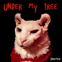 Under My Tree - Single - Snailmate