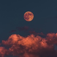 Nightmares and Dreams (feat. Michele Wylen & Cody Wilkinson) - Single - Kyle Devine